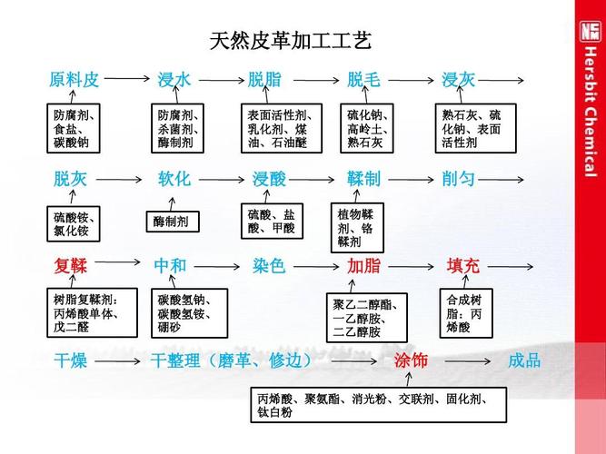 制革的加工过程