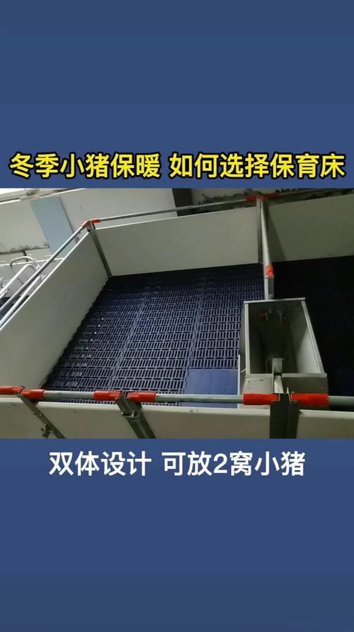 养仔猪为什么要使用保育床