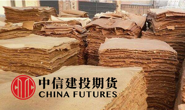 搞一个纸浆厂需要多少钱？