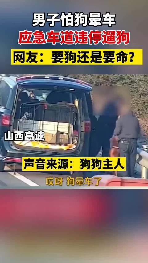 山西男子怕狗晕车应急车道违停遛狗，车主最终得到了什么处罚？