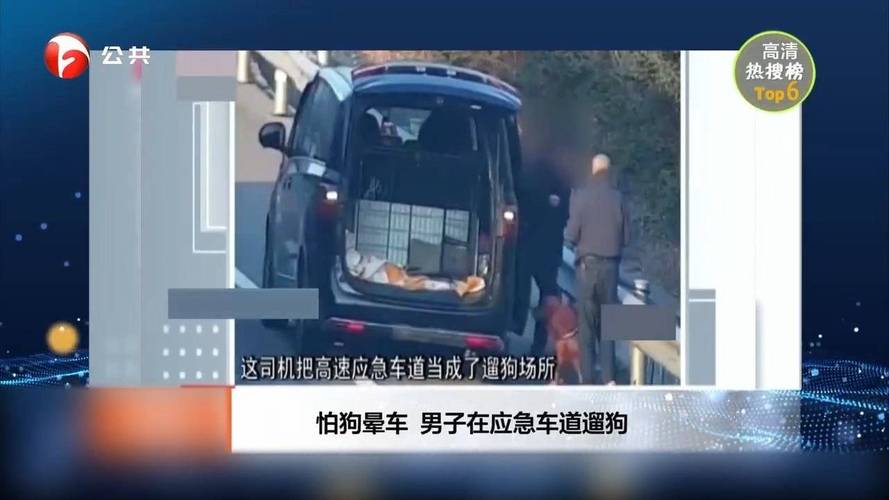 山西男子怕狗晕车竟在应急车道违停遛狗，应急车道的真正用法有哪些？
