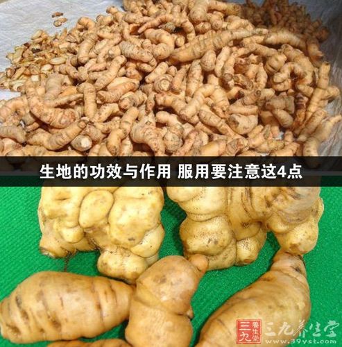 地髓的主治