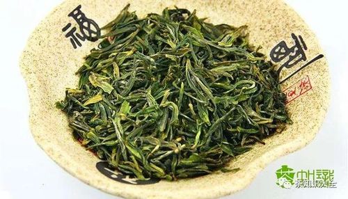 绿茶的品种有哪些？