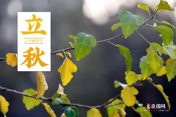 今天立秋时间是几点