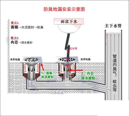 下水是什么部位？