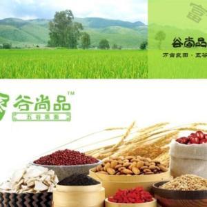 尚品五谷