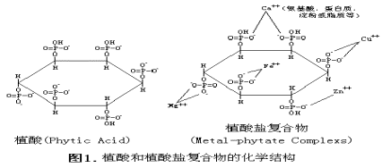 植物中植酸和植酸盐怎样区分不同含意？
