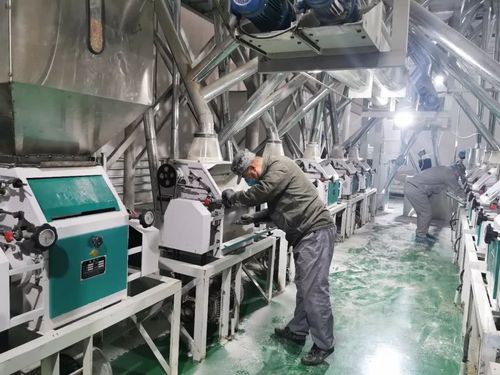 我想开个加工厂小型加工厂需要准备什么 有没有好点的项目？