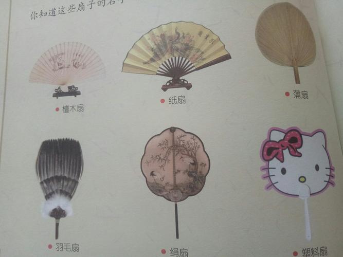 扇子分为哪些种类？