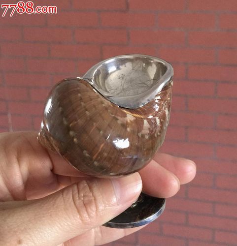 历史上用珍珠海螺做酒具的有哪些