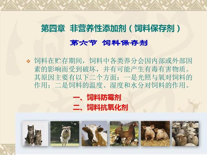 什么是饲料保存剂？常用的有哪些？如何使用？