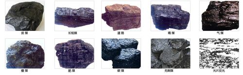 什么叫 褐煤