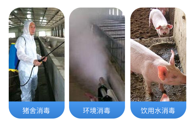 猪场常用的消毒药物有哪些？怎样使用？