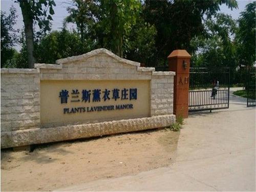 郑州普兰斯薰衣草庄园的介绍