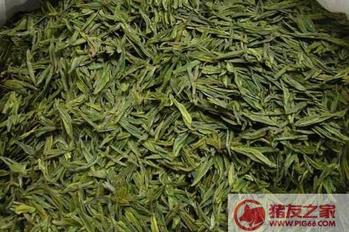 绿茶的定义是什么？
