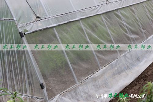 使用防虫网有什么好处？
