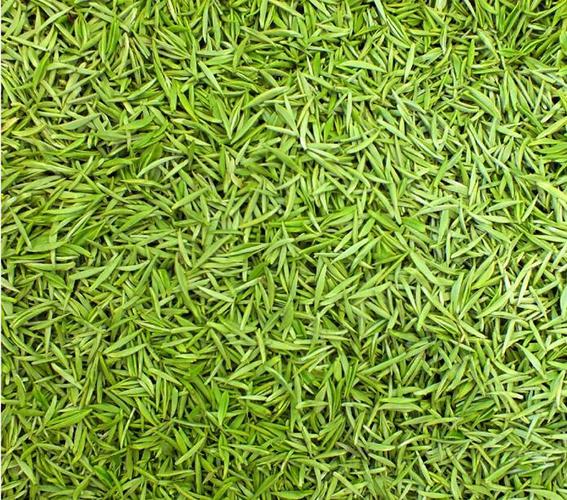 什么是绿茶，绿茶有哪些
