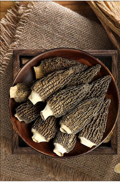 什么是羊肚菌？
