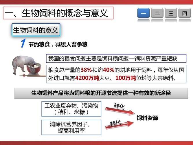 饲料的定义是什么