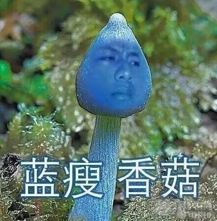 蓝瘦香菇是什么梗 网络词语蓝瘦香菇是什么意思由来出处
