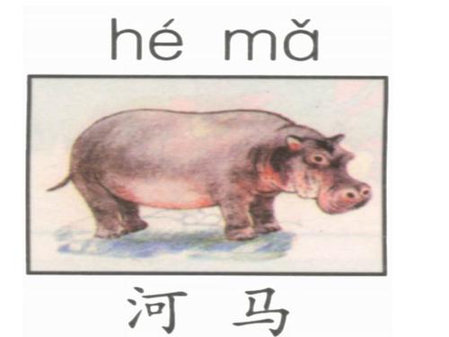 动物种苗拼音怎么拼？