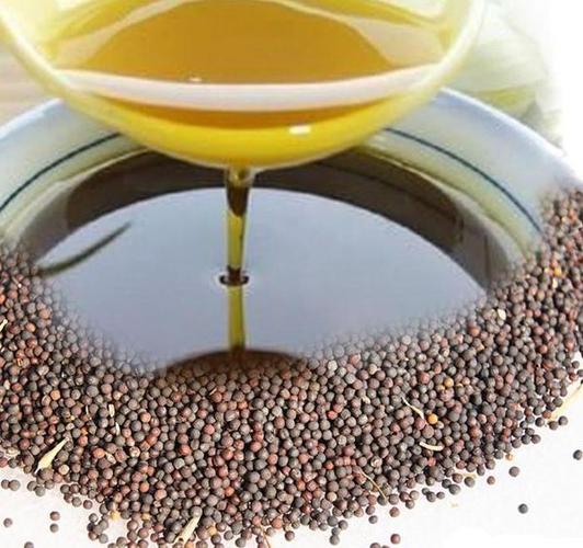菜籽油的功效与作用及食用方法？