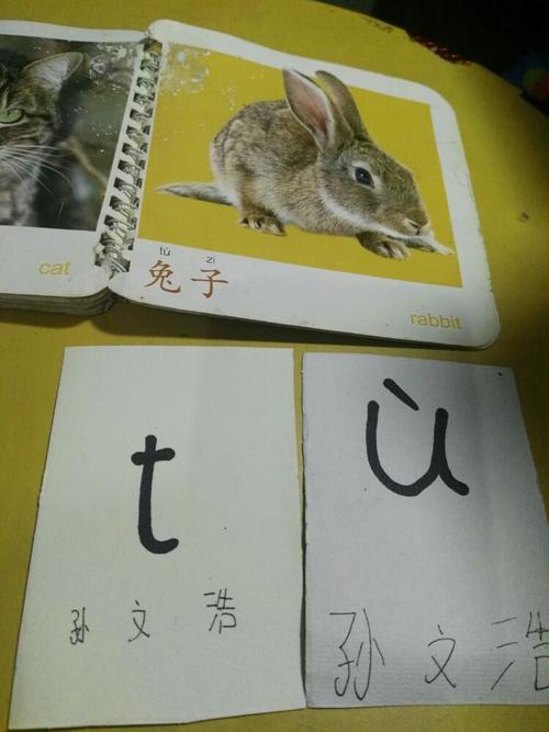 兔的拼音怎么写