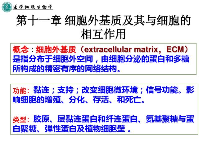 根据细胞外基质的化学组成可以分为三类：（1）、（2）和（3）等。