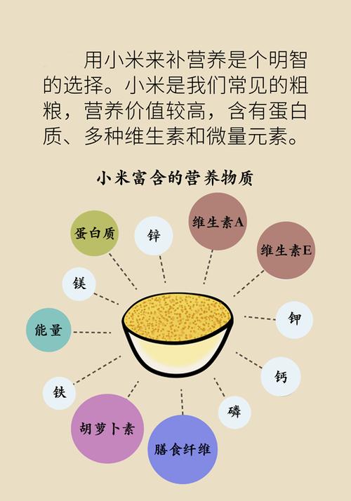 小米有什么功效和营养价值