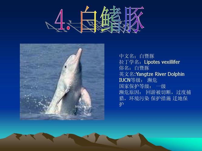 中国濒临灭绝的动物有哪些呢？