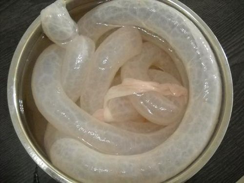 肠衣是什么