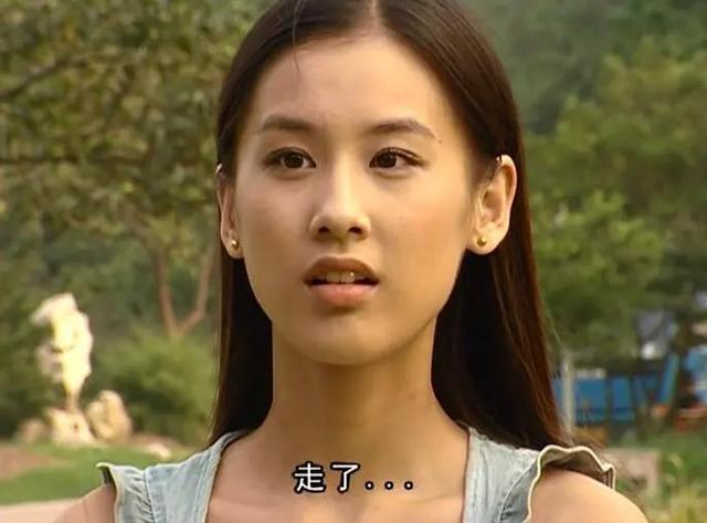 黄圣依都拍过哪些电视剧？