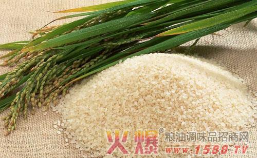 大米的介绍