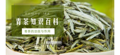 青茶名词解释