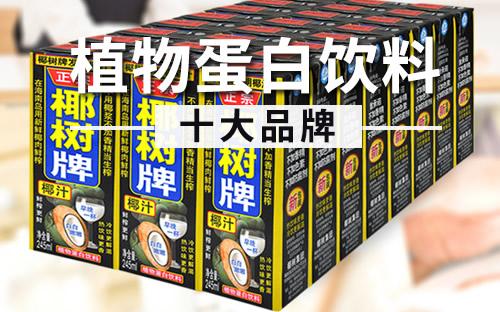 蛋白饮料是什么