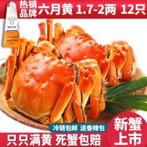 一般一个大闸蟹单价多少钱，阳澄湖大闸售价如何？