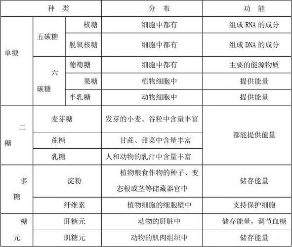 生物中的糖类主要有哪几种，分别起什么作用？