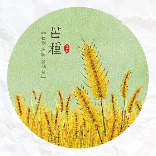 芒种是几月几日？