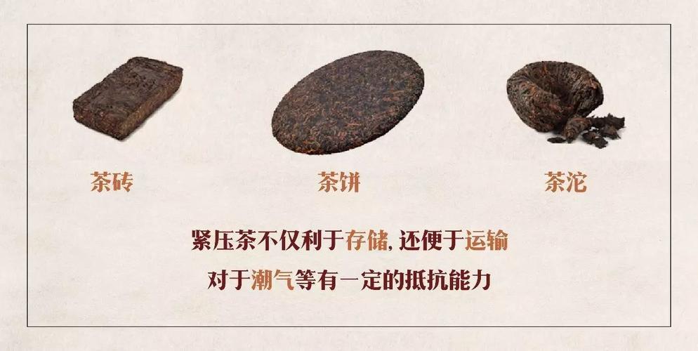 普洱紧压茶是什么？