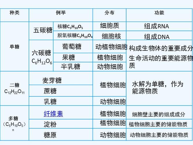 糖类有哪几种