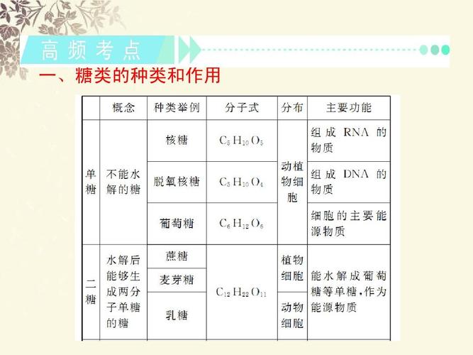 什么是糖类？如何分类？