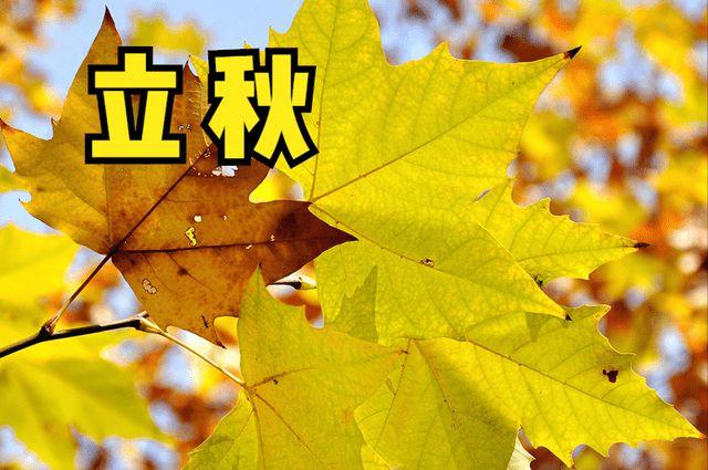 2020年立秋是哪一天几点几分