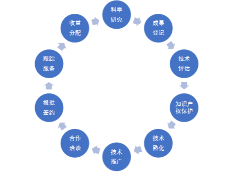技术开发，技术转让，技术推广是什么？
