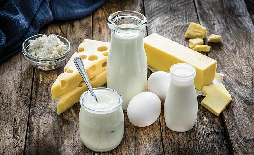 乳制品包括有哪些？