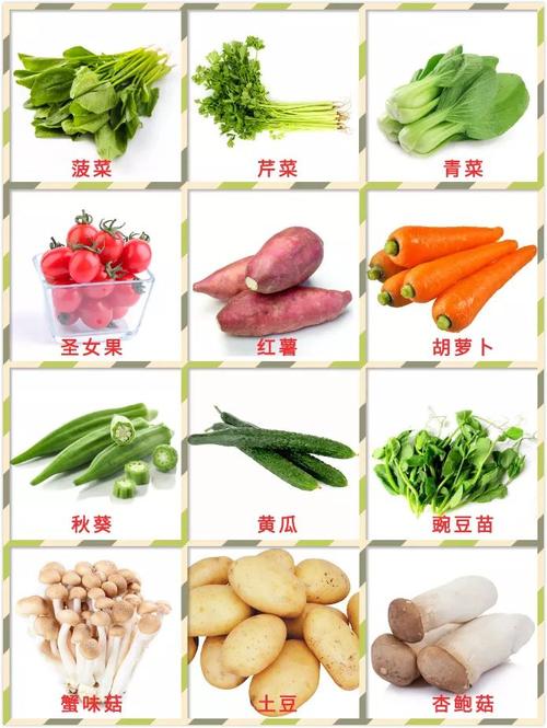 蔬菜有哪些种类（中国的所有蔬菜品种有多少种）