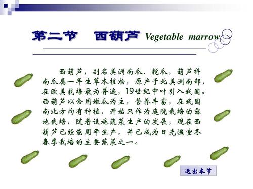西葫芦别名