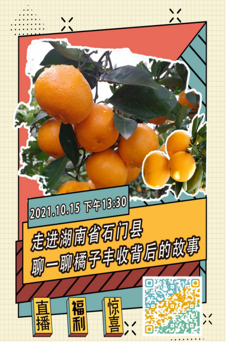 
</p>
<p>
2021石门柑橘节有哪些明星
</p>
<p>
