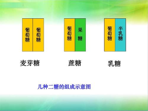 糖类大致可以分为几类？