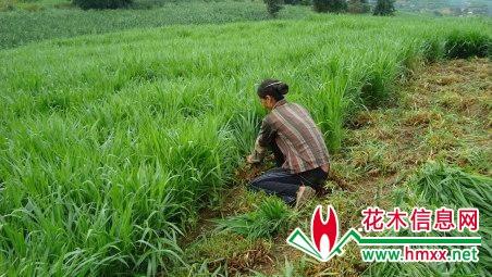 致富经创业项目有哪些？
