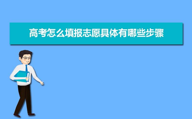 2021年湖北高考志愿填报系统是哪个？